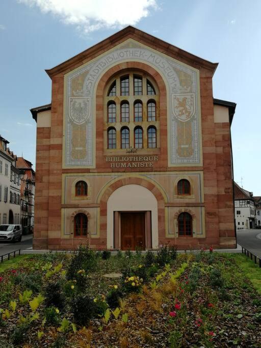 זלסטאט Gite Spacieux Au Coeur De L'Alsace 3*** מראה חיצוני תמונה