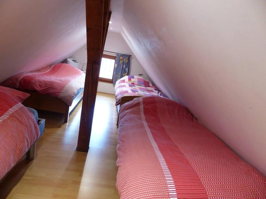 זלסטאט Gite Spacieux Au Coeur De L'Alsace 3*** מראה חיצוני תמונה