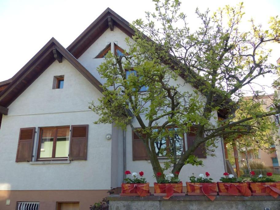 זלסטאט Gite Spacieux Au Coeur De L'Alsace 3*** מראה חיצוני תמונה