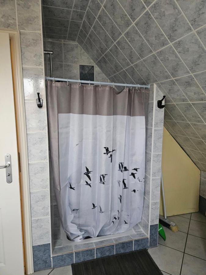 זלסטאט Gite Spacieux Au Coeur De L'Alsace 3*** מראה חיצוני תמונה
