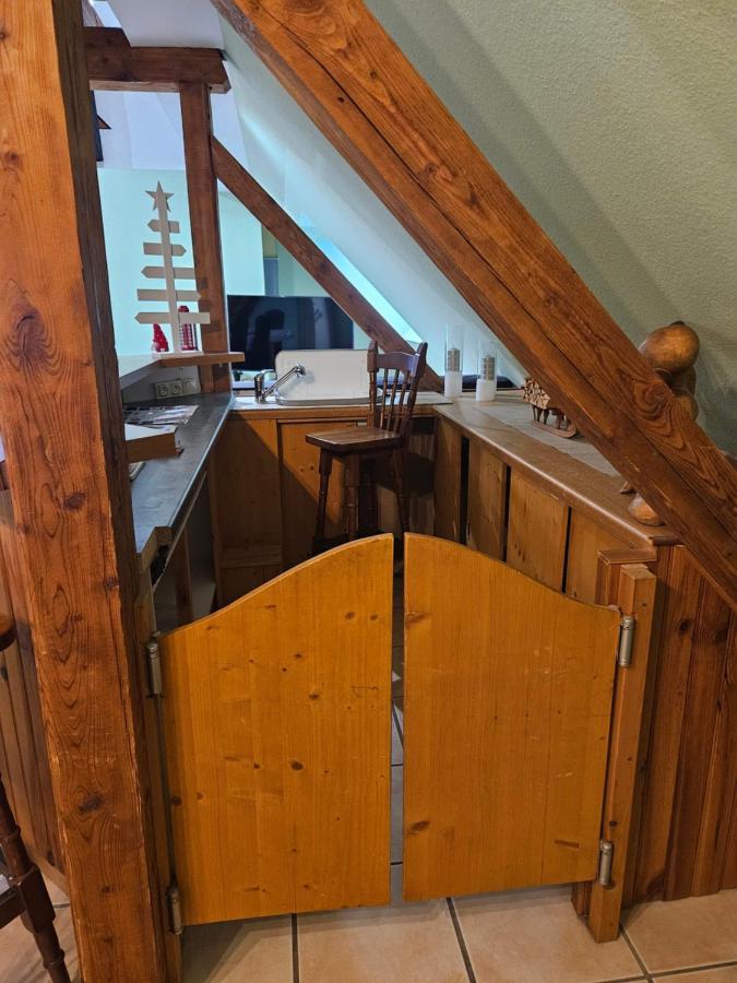 זלסטאט Gite Spacieux Au Coeur De L'Alsace 3*** מראה חיצוני תמונה